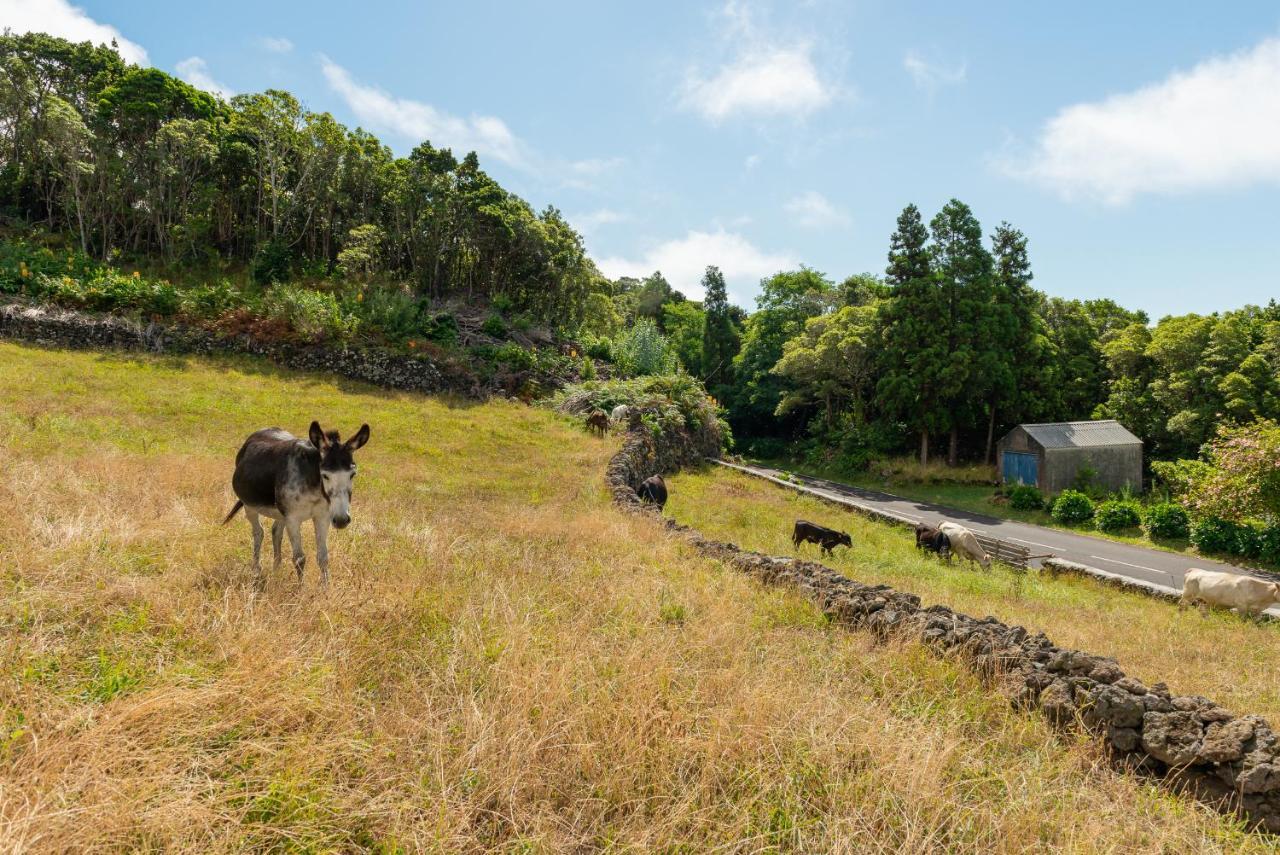 Casa Da Figueirinha Villa Calheta de Nesquim Ngoại thất bức ảnh